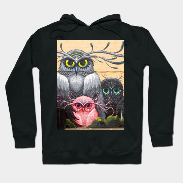 Owl Artwork Hoodie by varwek